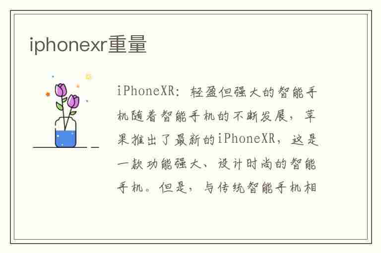 iphonexr重量(iPhonexr重量多少克)